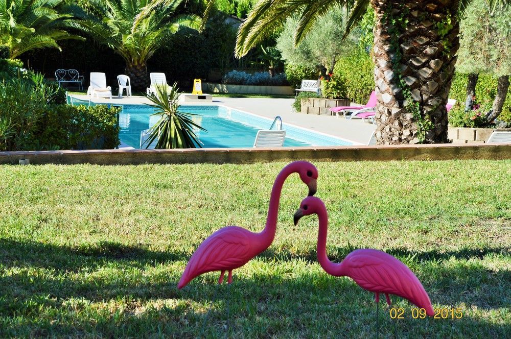 Villa Les 4 Saisons Saint Tropez Saint-Tropez Exterior foto
